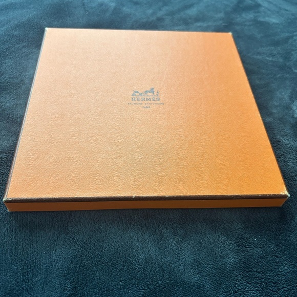 Hermes Green and Blue Scarf with Rabbit Design - Picture 8 of 9